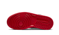 Alternative view of Alternate Bred Toe