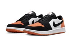 Alternative view of Golf Shattered Backboard