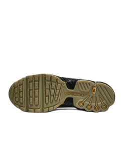 Alternative view of TN PLUS III